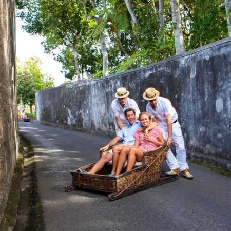 Basket Carts Route Basket Carts Route