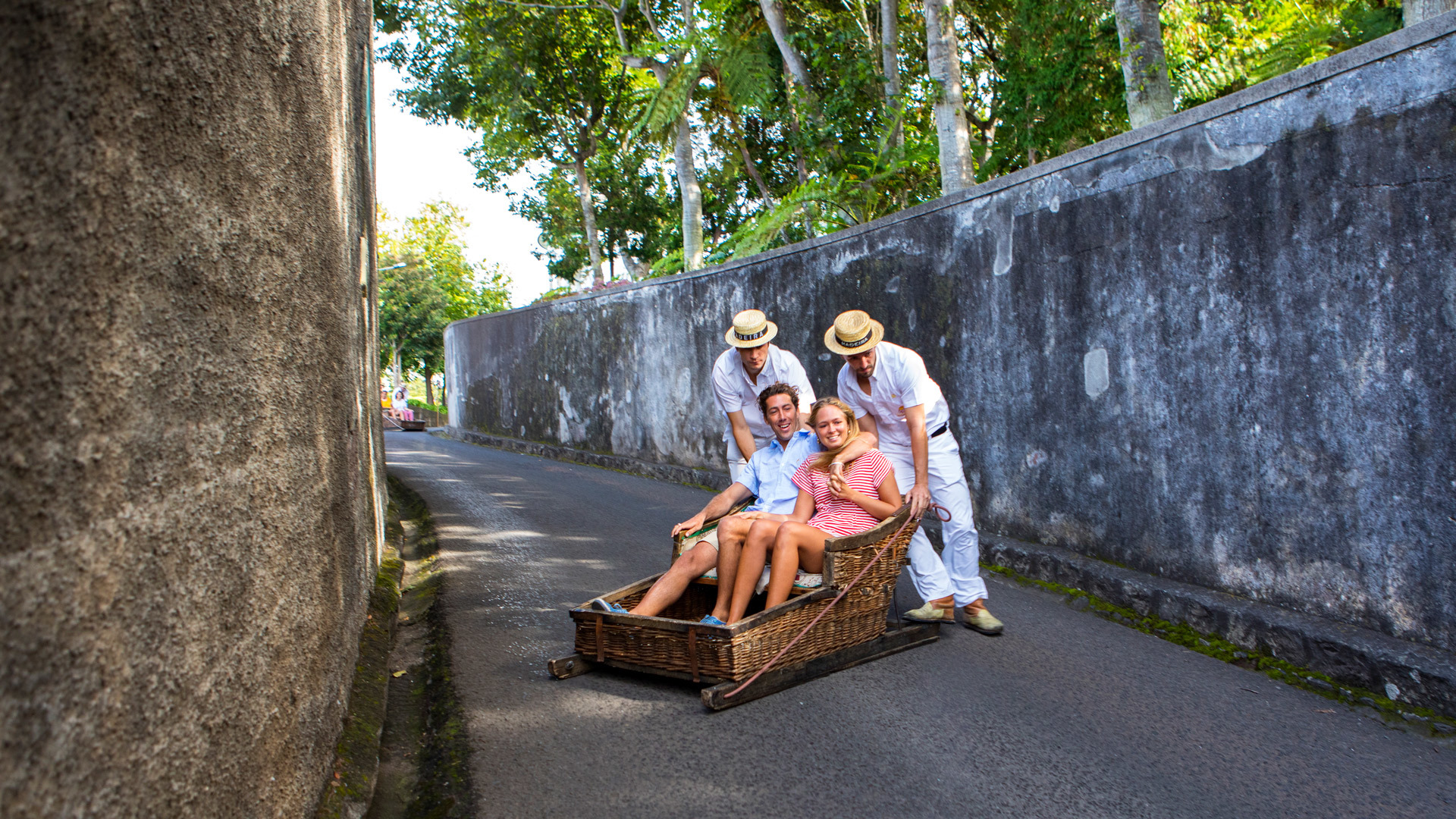 carros cesto2 Carrinhos de Cesto